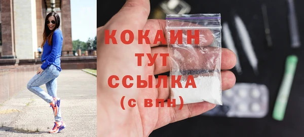 МДПВ Абаза