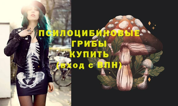 МДПВ Абаза