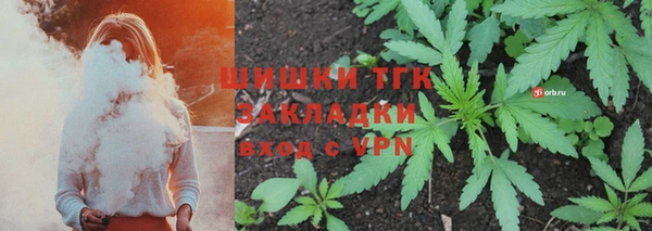 индика Абдулино