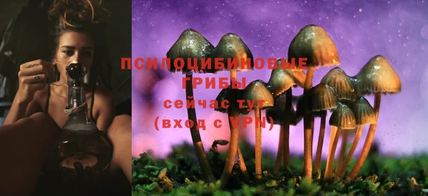 индика Абдулино