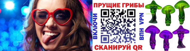 где купить наркоту  Каргополь  Псилоцибиновые грибы ЛСД 